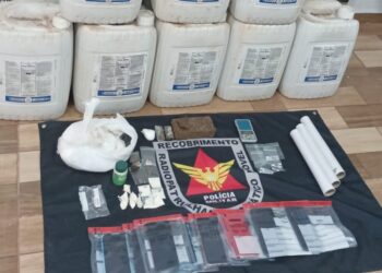 PC prende homem e recupera 2 toneladas de defensivos agrícolas em Fronteira