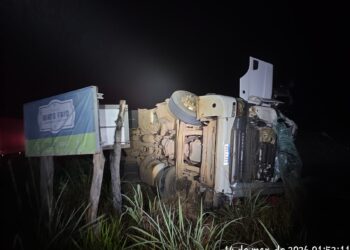 Motorista morre após carreta carregada de carne tombar na BR-364 em Campina Verde