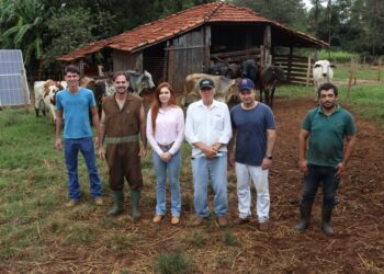Genética de ponta: programa Frutal +Genética entrega 240 embriões a produtores rurais