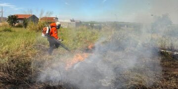 Incêndio atinge área próxima ao Ecoparque e mobiliza Defesa Civil em Frutal