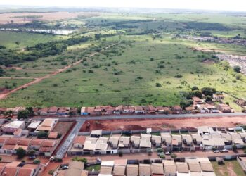 Furto e abate de novilha causam prejuízo a produtor próximo ao Cemitério
