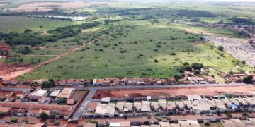 Furto e abate de novilha causam prejuízo a produtor próximo ao Cemitério