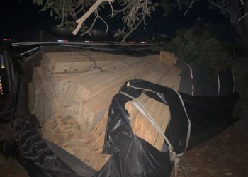 Motorista fica ferido após caminhão tombar na MGC-497 em Prata